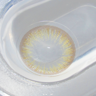 Touch Gold Pearl(月拋)